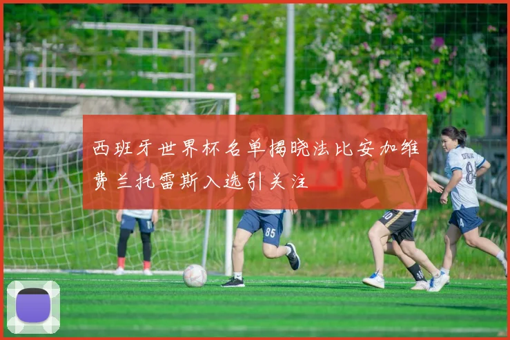 西班牙世界杯名单揭晓法比安加维费兰托雷斯入选引关注