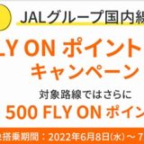 JALがPP2倍キャンペーンを延長！上級会員(JGC) を簡単に取得！2022年
